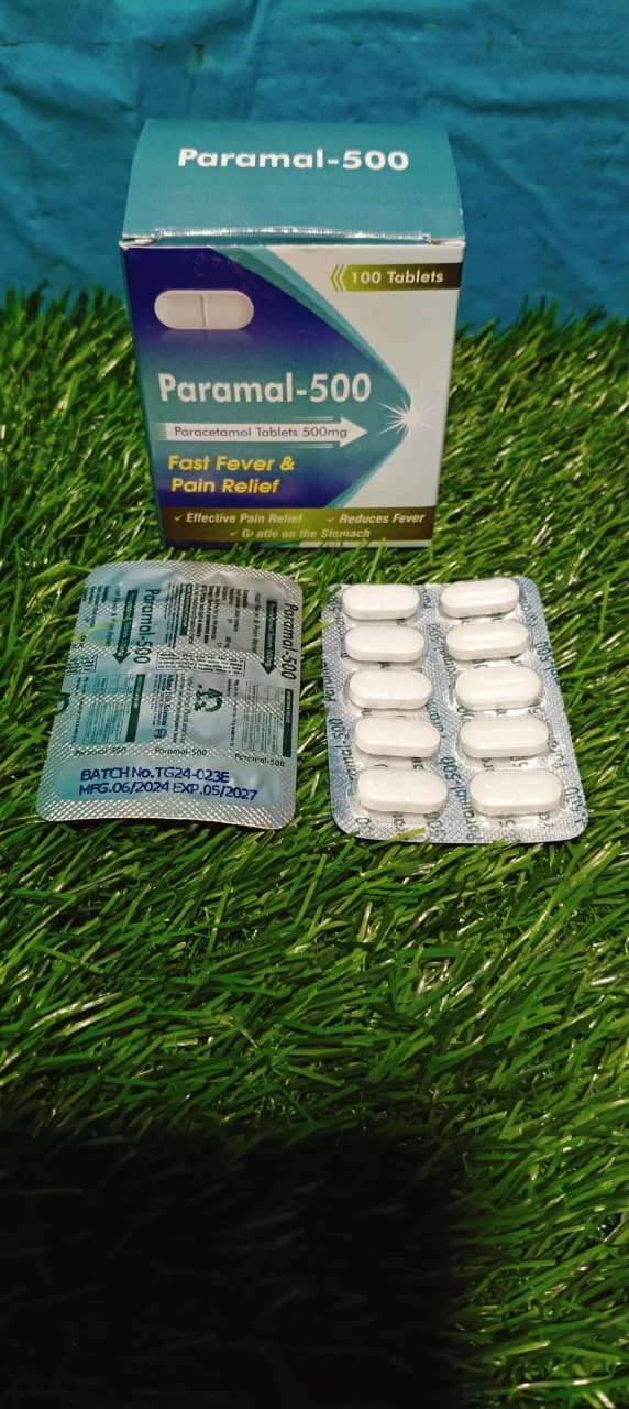 PARAMAL-500 Tablets